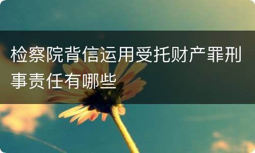 检察院背信运用受托财产罪刑事责任有哪些