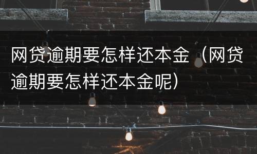 网贷逾期要怎样还本金（网贷逾期要怎样还本金呢）