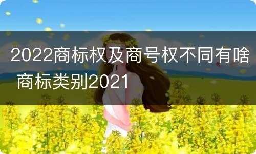2022商标权及商号权不同有啥 商标类别2021