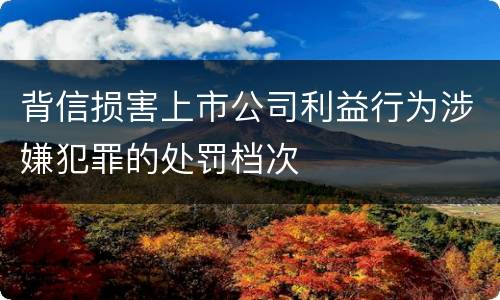 背信损害上市公司利益行为涉嫌犯罪的处罚档次