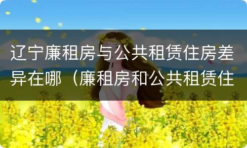 辽宁廉租房与公共租赁住房差异在哪（廉租房和公共租赁住房有什么区别）