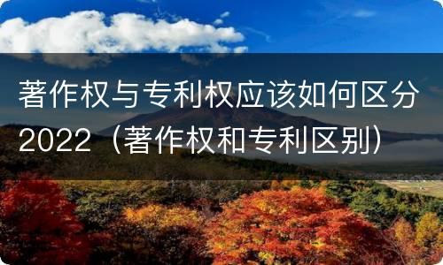 著作权与专利权应该如何区分2022（著作权和专利区别）