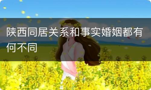 陕西同居关系和事实婚姻都有何不同