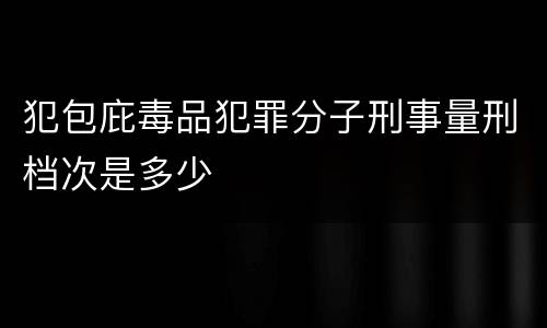 犯包庇毒品犯罪分子刑事量刑档次是多少
