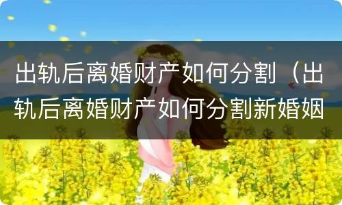 出轨后离婚财产如何分割（出轨后离婚财产如何分割新婚姻法202）