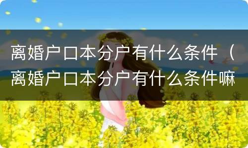 离婚户口本分户有什么条件（离婚户口本分户有什么条件嘛）