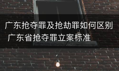 广东抢夺罪及抢劫罪如何区别 广东省抢夺罪立案标准