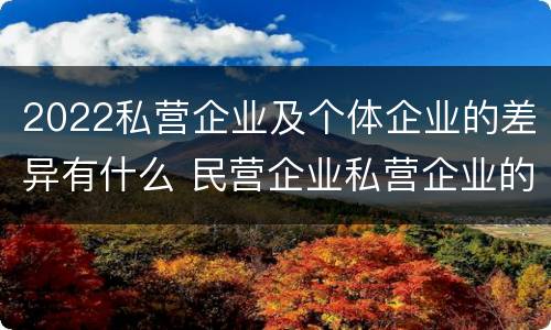 2022私营企业及个体企业的差异有什么 民营企业私营企业的区别