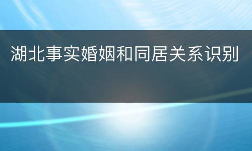 湖北事实婚姻和同居关系识别