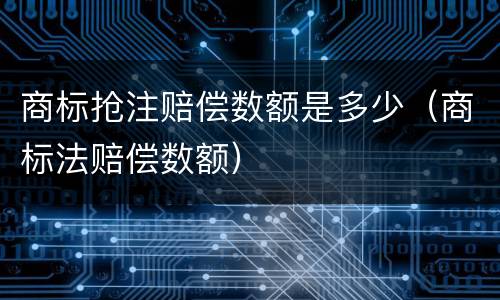 商标抢注赔偿数额是多少（商标法赔偿数额）