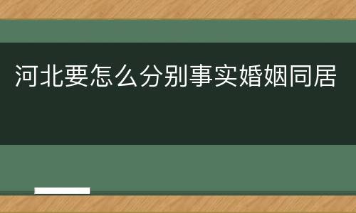 河北要怎么分别事实婚姻同居