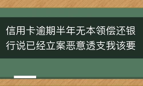 信用卡逾期半年无本领偿还银行说已经立案恶意透支我该要怎样办