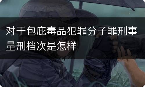 对于包庇毒品犯罪分子罪刑事量刑档次是怎样