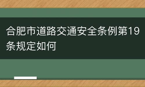 合肥市道路交通安全条例第19条规定如何