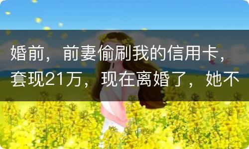 婚前，前妻偷刷我的信用卡，套现21万，现在离婚了，她不愿意还这个钱，我能起诉吗