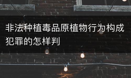 非法种植毒品原植物行为构成犯罪的怎样判