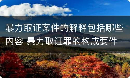 暴力取证案件的解释包括哪些内容 暴力取证罪的构成要件