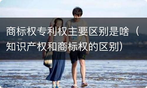 商标权专利权主要区别是啥（知识产权和商标权的区别）