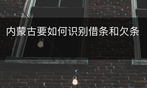 内蒙古要如何识别借条和欠条