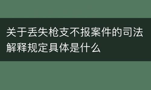 关于丢失枪支不报案件的司法解释规定具体是什么