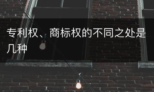 专利权、商标权的不同之处是几种