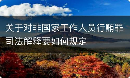 关于对非国家工作人员行贿罪司法解释要如何规定