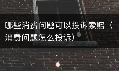 哪些消费问题可以投诉索赔（消费问题怎么投诉）