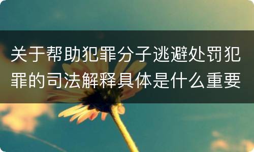 关于帮助犯罪分子逃避处罚犯罪的司法解释具体是什么重要内容