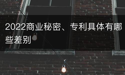 2022商业秘密、专利具体有哪些差别