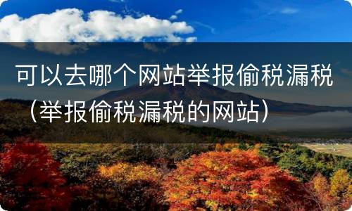 可以去哪个网站举报偷税漏税（举报偷税漏税的网站）