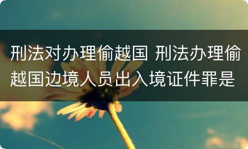 刑法对办理偷越国 刑法办理偷越国边境人员出入境证件罪是指