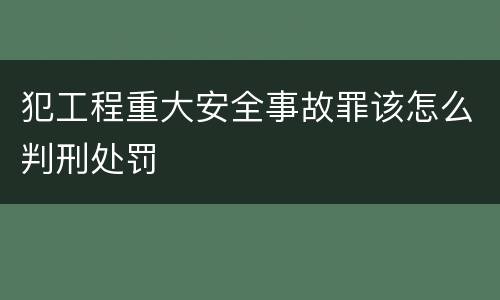 犯工程重大安全事故罪该怎么判刑处罚