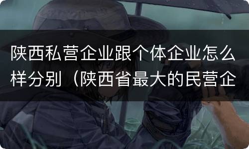陕西私营企业跟个体企业怎么样分别（陕西省最大的民营企业是什么公司）