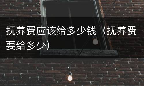 抚养费应该给多少钱（抚养费要给多少）