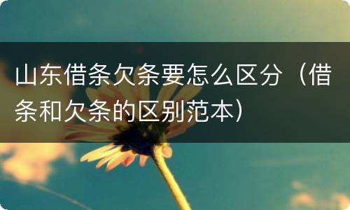 山东借条欠条要怎么区分（借条和欠条的区别范本）