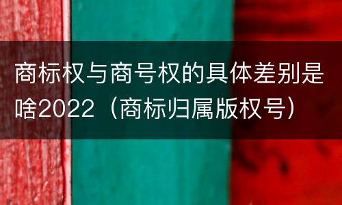 商标权与商号权的具体差别是啥2022（商标归属版权号）