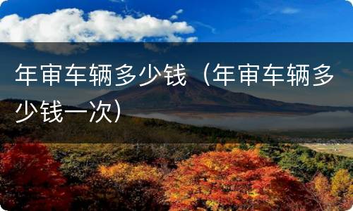 年审车辆多少钱（年审车辆多少钱一次）