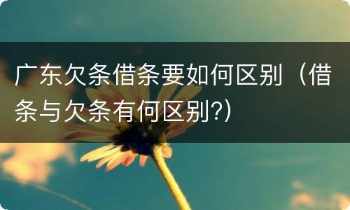 广东欠条借条要如何区别（借条与欠条有何区别?）