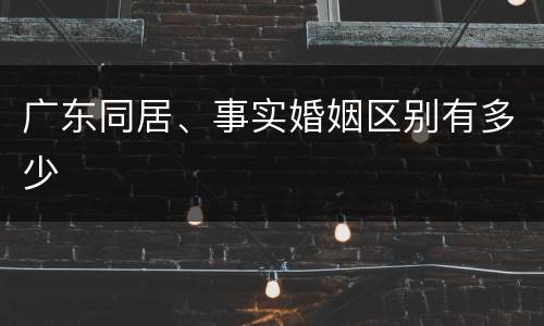 广东同居、事实婚姻区别有多少