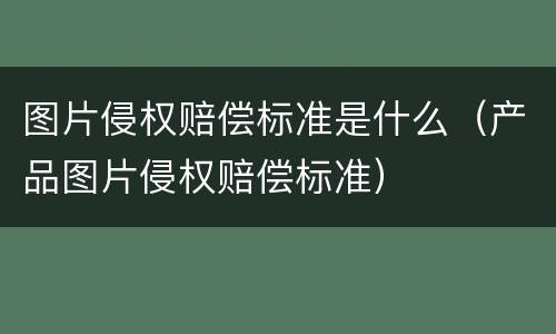 图片侵权赔偿标准是什么（产品图片侵权赔偿标准）