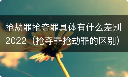 抢劫罪抢夺罪具体有什么差别2022（抢夺罪抢劫罪的区别）