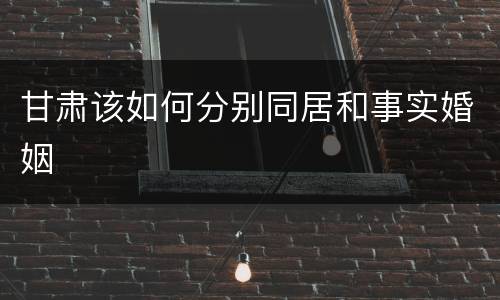 甘肃该如何分别同居和事实婚姻