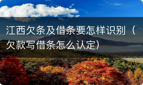 江西欠条及借条要怎样识别（欠款写借条怎么认定）