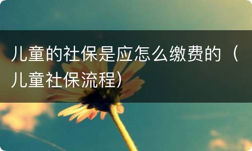 儿童的社保是应怎么缴费的（儿童社保流程）