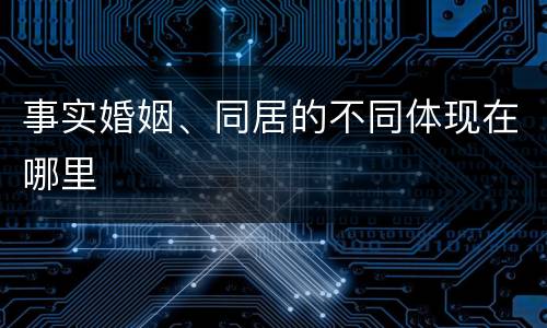 事实婚姻、同居的不同体现在哪里