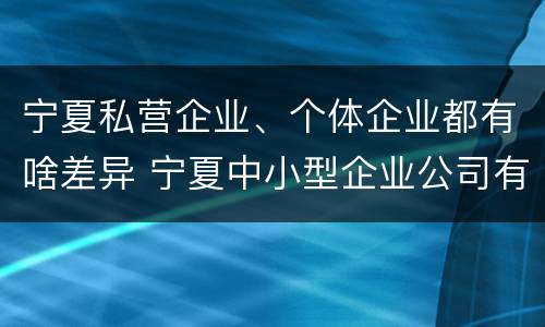 宁夏私营企业、个体企业都有啥差异 宁夏中小型企业公司有哪些