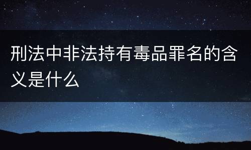 刑法中非法持有毒品罪名的含义是什么