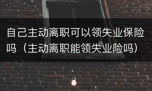 自己主动离职可以领失业保险吗（主动离职能领失业险吗）