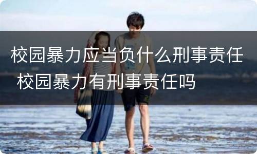 校园暴力应当负什么刑事责任 校园暴力有刑事责任吗