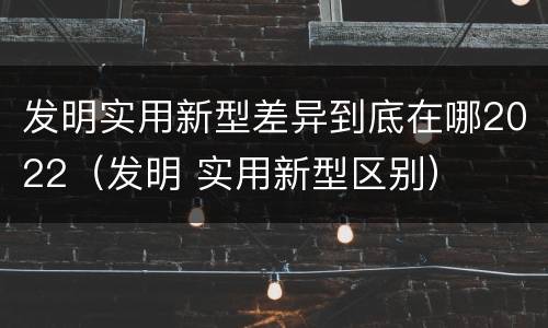 发明实用新型差异到底在哪2022（发明 实用新型区别）